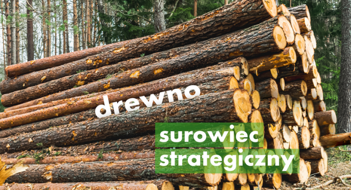 Źródło&#x3a;&#x20;https&#x3a;&#x2f;&#x2f;www&#x2e;lasy&#x2e;gov&#x2e;pl&#x2f;pl&#x2f;informacje&#x2f;aktualnosci&#x2f;drewno-surowcem-strategicznym