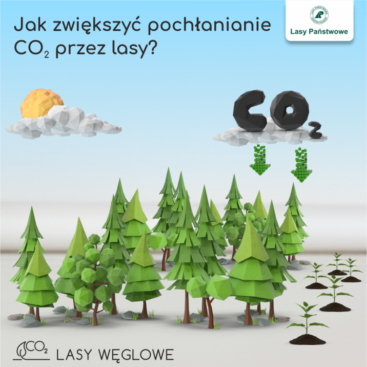 Grafika&#x2e;&#x20;Narysowane&#x20;drzewa&#x2c;&#x20;zarówno&#x20;iglaste&#x20;jak&#x20;i&#x20;liściaste&#x2c;&#x20;nad&#x20;nimi&#x20;chmurka&#x2c;&#x20;na&#x20;której&#x20;znajduje&#x20;się&#x20;napis&#x20;CO2&#x2e;&#x20;Od&#x20;chmurki&#x20;w&#x20;stronę&#x20;drzew&#x20;idą&#x20;strzałki&#x2e;&#x20;Na&#x20;grafice&#x20;również&#x20;logo&#x20;Lasów&#x20;Państwowych&#x20;i&#x20;logo&#x20;projektu&#x20;&#x22;Lasy&#x20;Węglowe&#x22;&#x20;&#x28;źródło&#x3a;&#x20;www&#x2e;lasy&#x2e;gov&#x2e;pl&#x29;