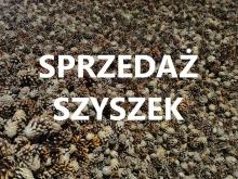 Ogłoszenie o sprzedaży szyszek