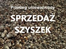 Unieważnienie postępowania