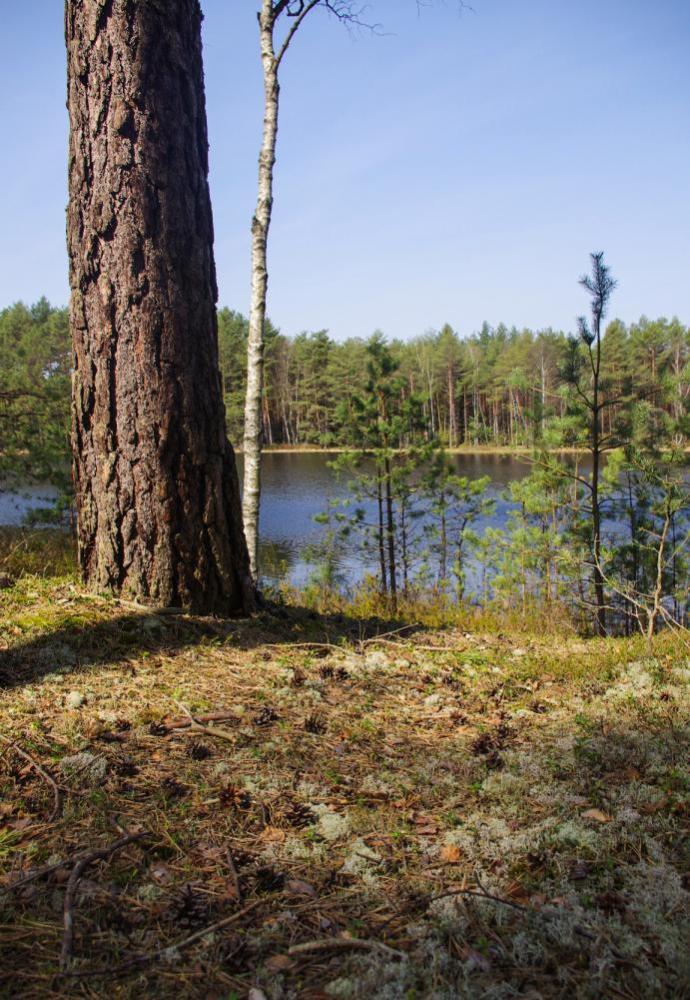 Nad Jeziorem Długim (fot.: M. P. Chybowscy)